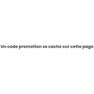 Réfrigérateur multi portes HISENSE RF815N4SWSE
