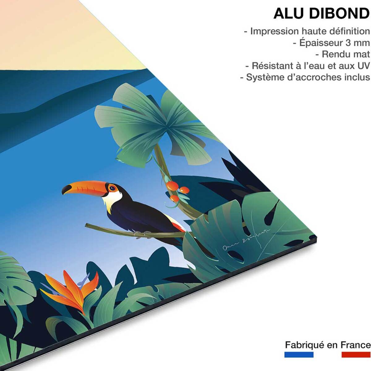 Tableau voyage Volcan du Costa Rico Tableau alu Dibond