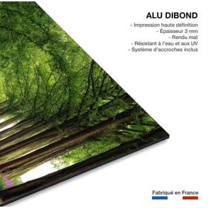 Tableau paysage Metasequoia Tableau alu Dibond