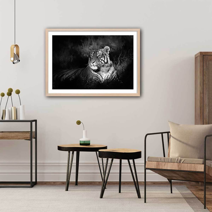 Affiche tigre assoupi dans son rayon de lumière Affiche sous cadre bois