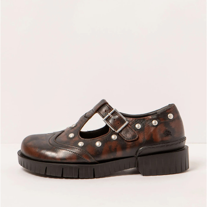 Zapatos 1834S ASPORT CASTAGNA /OXFORD color Castagna