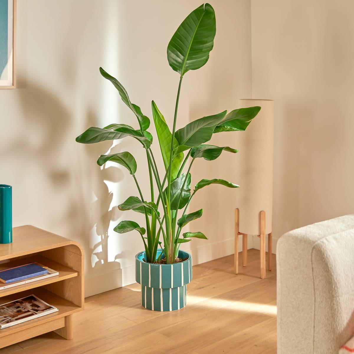 Cache-pot Flow D28cm