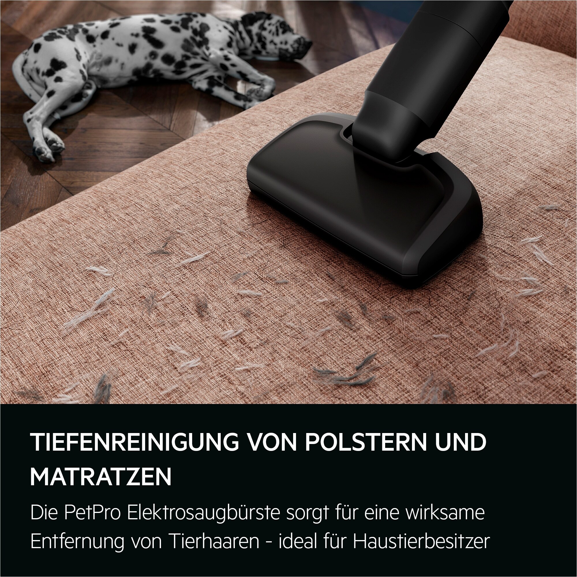 AEG Aspiradora sin cable 6000 de 40 min de autonomía AP61AB21DG