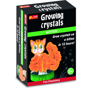 CRECIMIENTO DE CRISTALES: GATITO