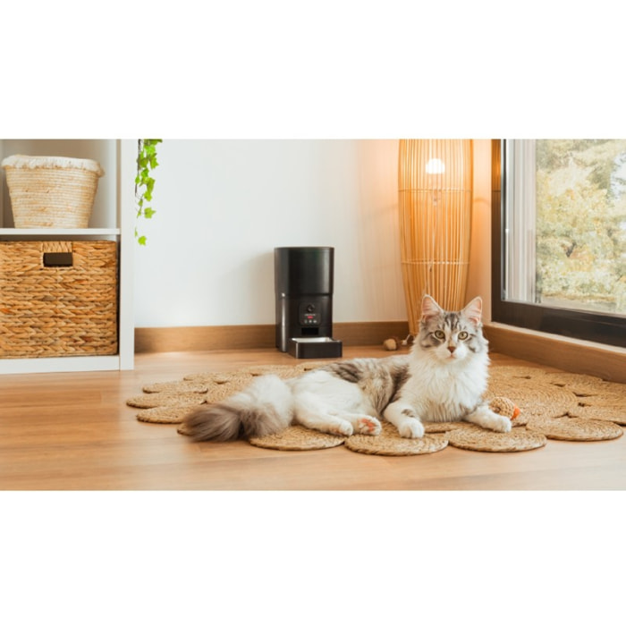Cecotec Comedero Pumba 6000 Purrfect Meal Smart Vision Cecotec