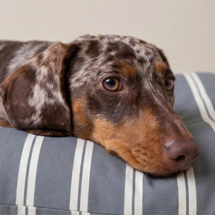 Lit pour animaux déhoussable et antitaches Chispa
