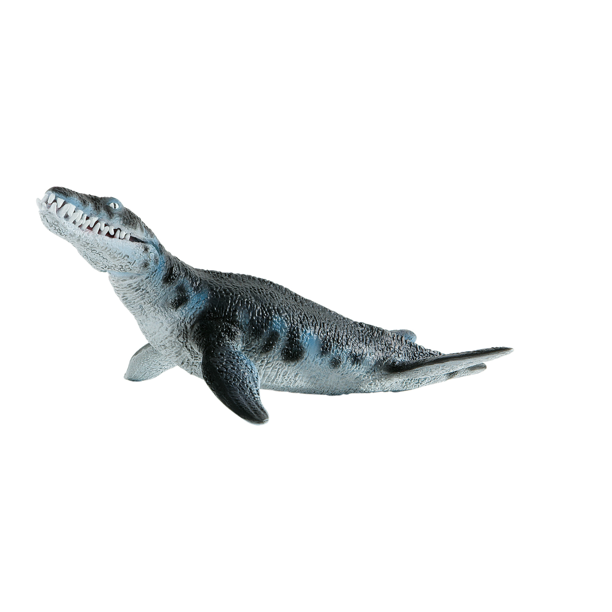 Dinosauri/Liopleurodonte Linea Museo Naturale