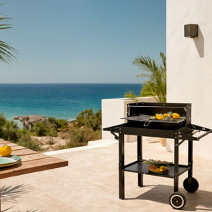 Barbacoa Carro 81x27x87 Cm