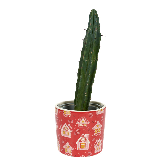 Cache Pot - HOME DECO FACTORY - Rouge - 9 cm