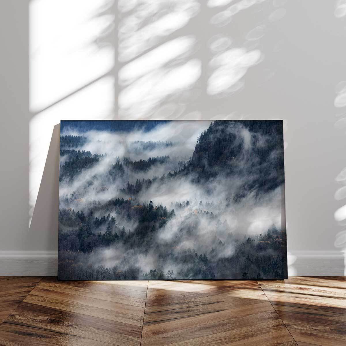 Tableau foret Un chemin de brume Tableau alu Dibond