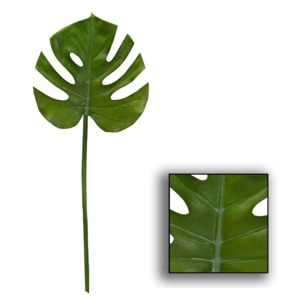 Foglia di filodendro verde cm0,5xh67,3x0,5