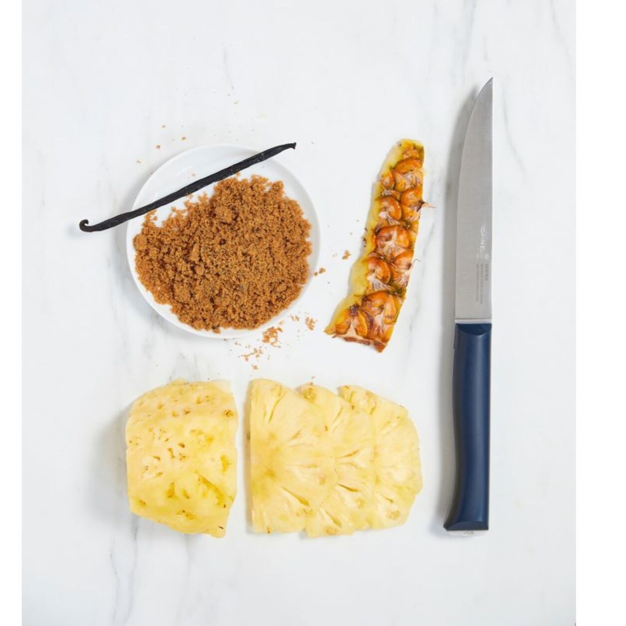 Couteau OPINEL trio intempora No218