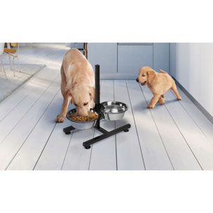 Double gamelle pour chien hauteur ajustable