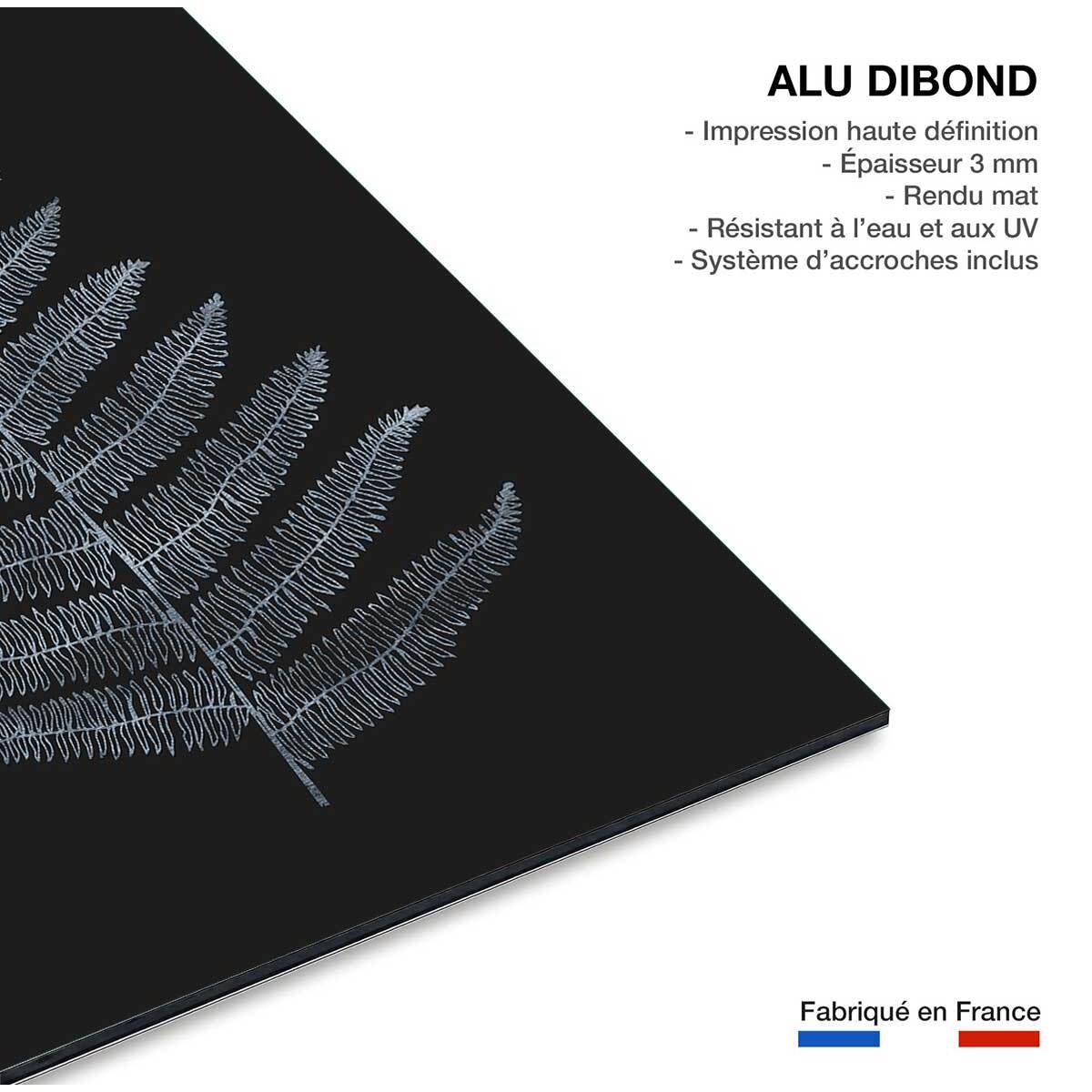Tableau fougère royale blanche Tableau alu Dibond