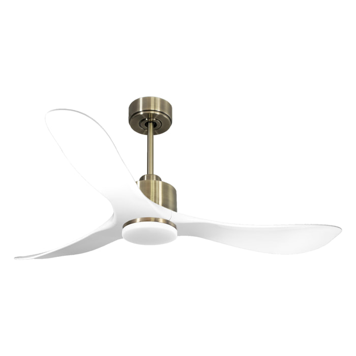 Ventilateur de plafond Réversible  Thermostat Dimmable Wifi Moteur à courant continu Toits en pente Télécommande Lumière à trois tons Hypersilence Mémoire