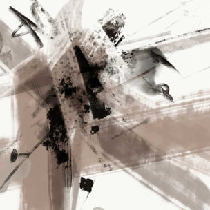 Affiche Etoile sauvage Affiche + cadre en bois - Noir