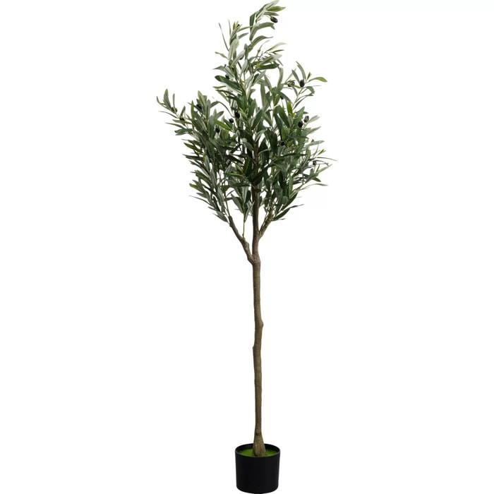 Plante décorative olivier 150cm Kare Design