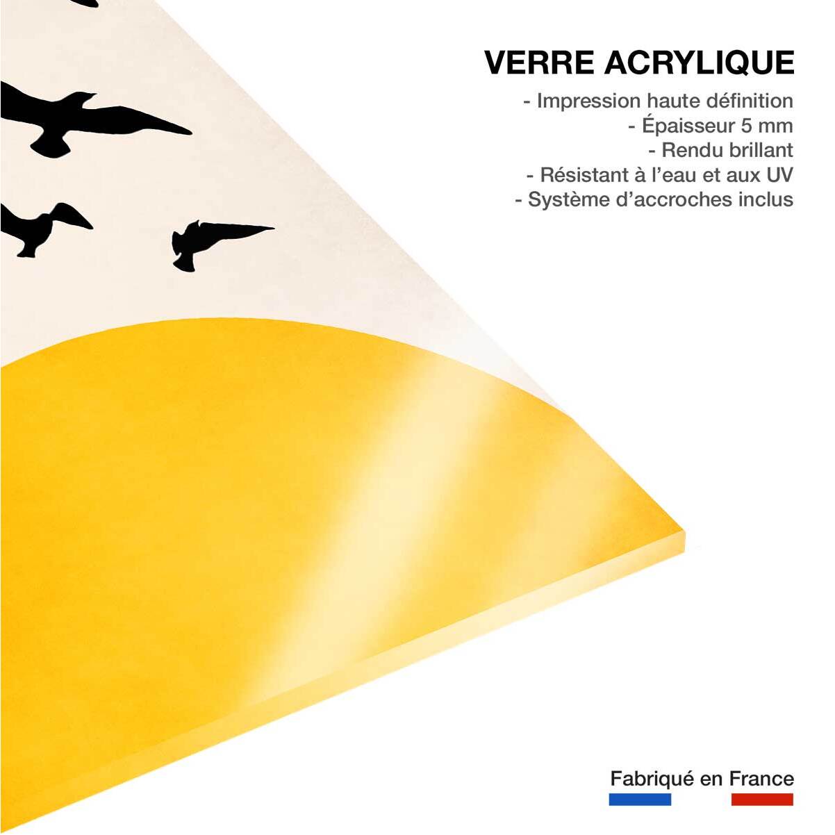 Tableau dessin ailes au soleil Tableau plexiglas