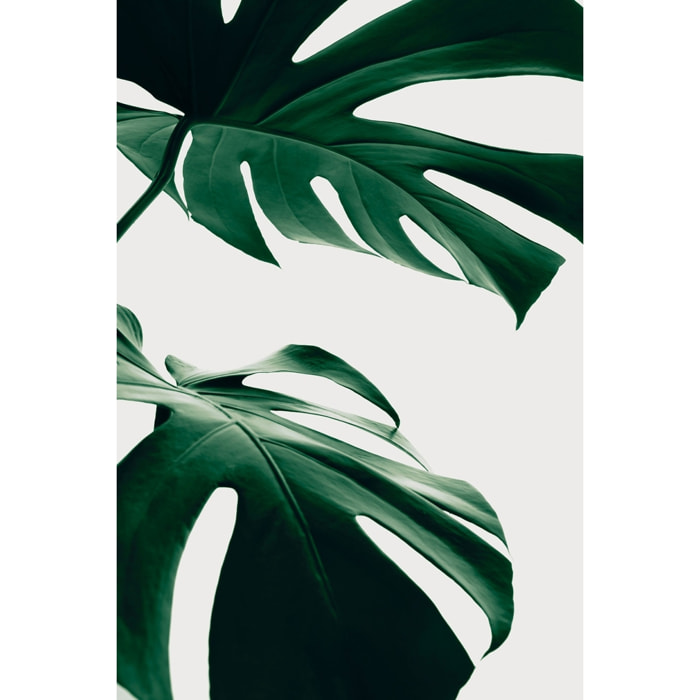 Tableau monstera due Toile imprimée