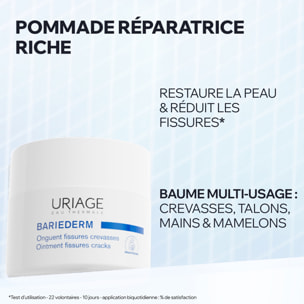 Bariederm - Onguent Fissures Crevasses 40g