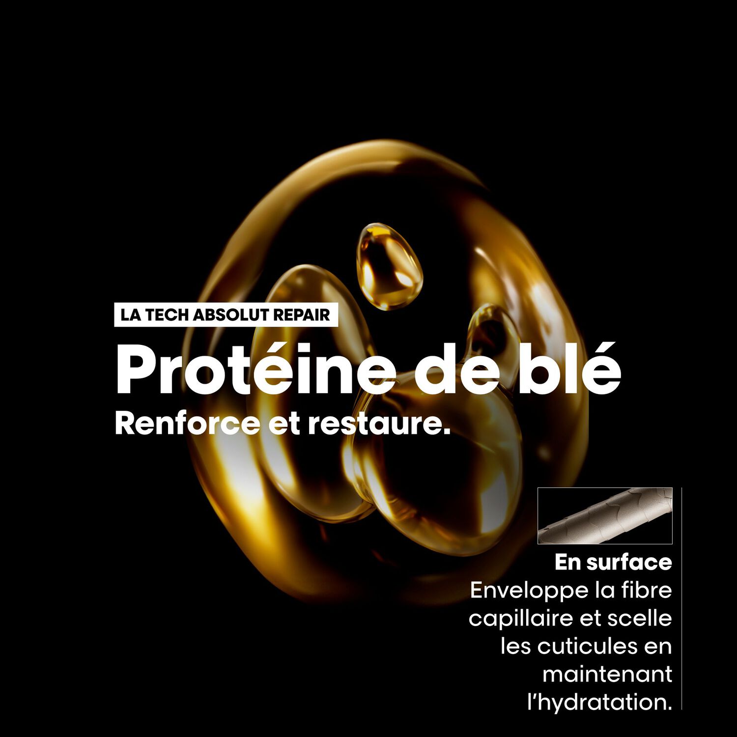 Série Expert Absolut Repair Gold Shampoing - Shampoing réparateur pour cheveux secs et abîmés