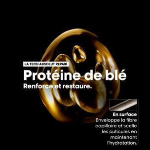 Série Expert Absolut Repair Gold Shampoing - Shampoing réparateur pour cheveux secs et abîmés