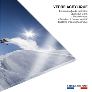 Tableau mute grab ski Tableau plexiglas