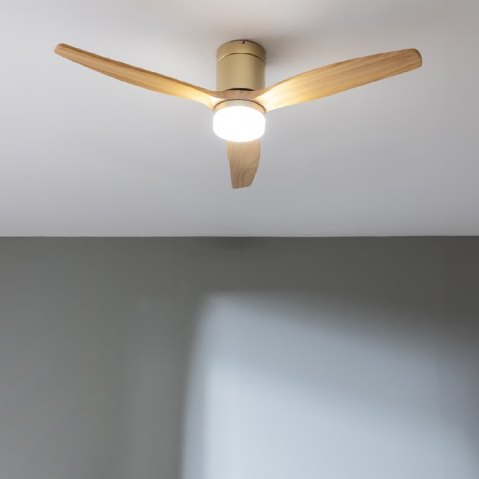 Cecotec Ventilatore da soffitto con luce EnergySilence Aero 5600 Aqua GoldLightW