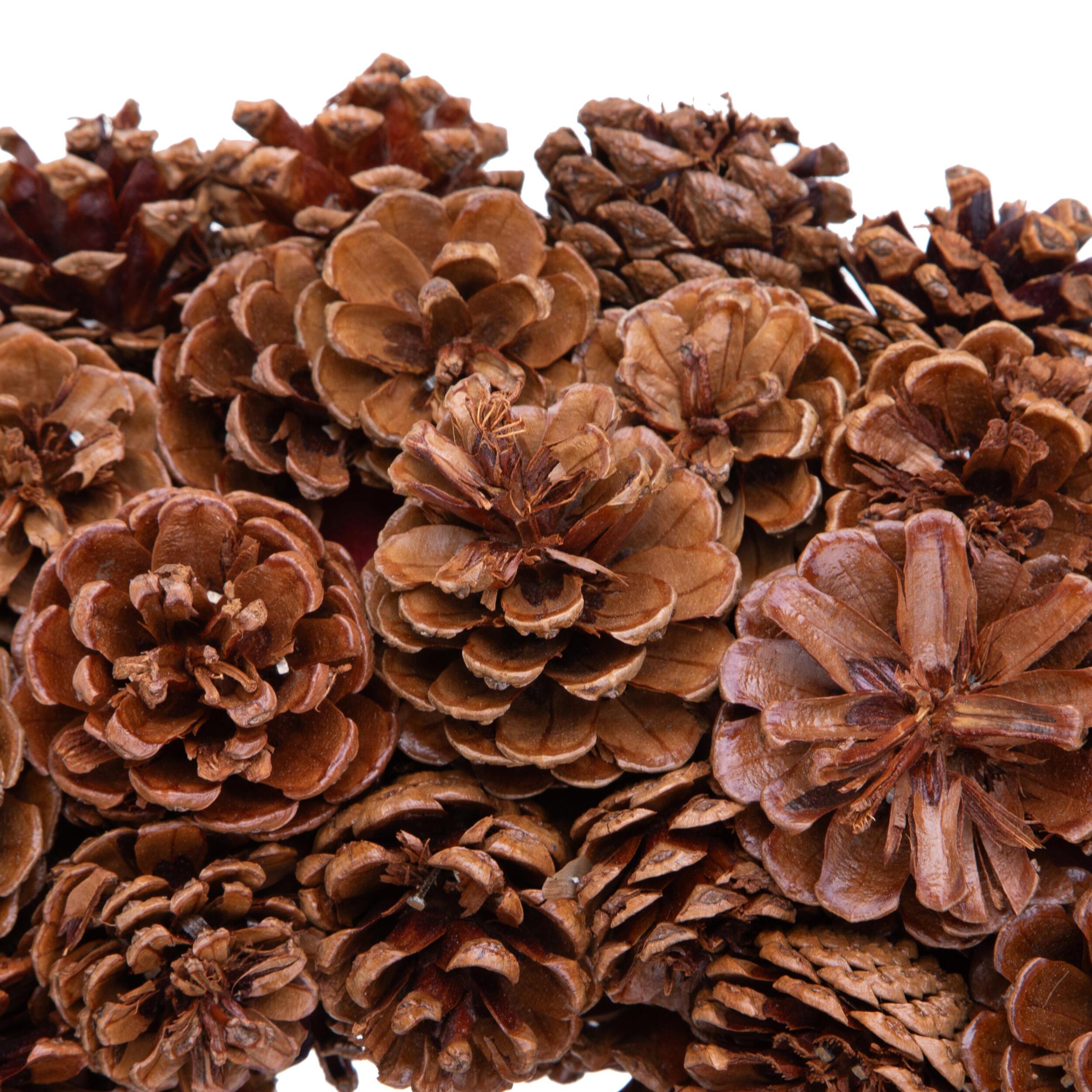 Corona natalizia - Pezzi 1 - 40xH40x13cm - Bianchi Dino SpA