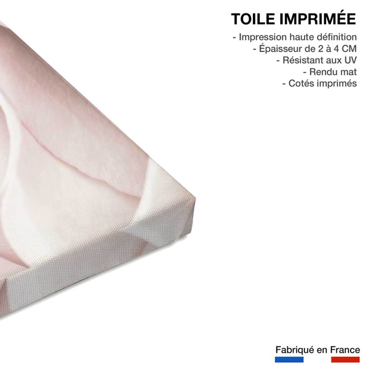 Tableau rosa romantica Toile imprimée