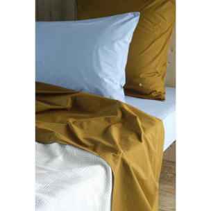Drap plat Céleste