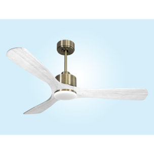 Ventilateur de plafond Réversible  Thermostat Dimmable Wifi Moteur à courant continu Toits en pente Télécommande Lumière à trois tons Hypersilence Mémoire