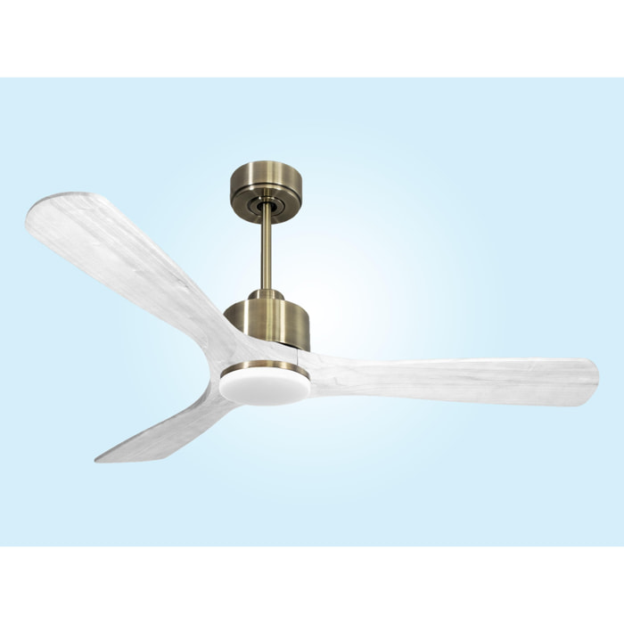 Ventilateur de plafond Réversible  Thermostat Dimmable Wifi Moteur à courant continu Toits en pente Télécommande Lumière à trois tons Hypersilence Mémoire