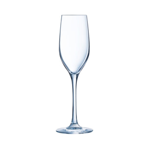 6 copas de champán 17 cl Séquence - Chef&Sommelier
