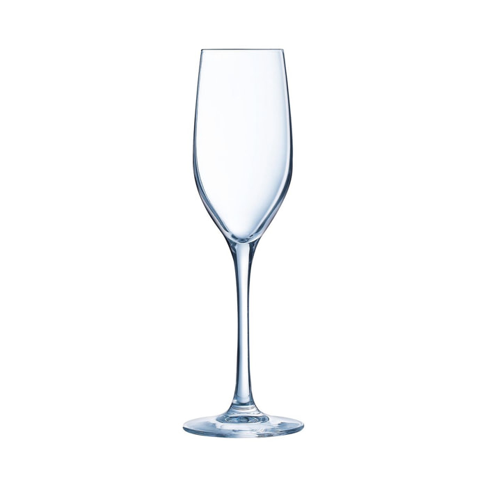 6 copas de champán 17 cl Séquence - Chef&Sommelier