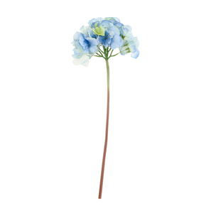 Fleur Hydrangea