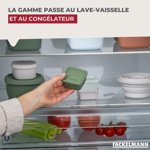 Lot de 2 lunchbox 500ml avec 2 ustensiles de cuisine Fackelmann Storage