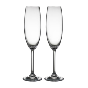 Set de 2 flûtes à champagne 22cl