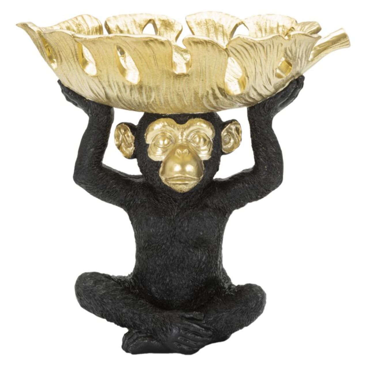 SCIMMIA S/TASCHE CM 25,2X21X24