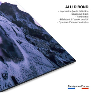 Tableau paysage d'hiver crepuscule sur glace  Tableau alu Dibond