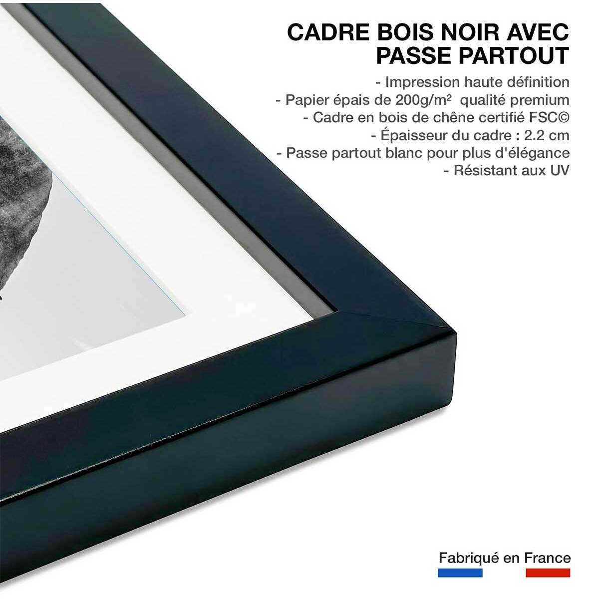 Poster éléphant d'afrique Affiche + cadre en bois - Noir