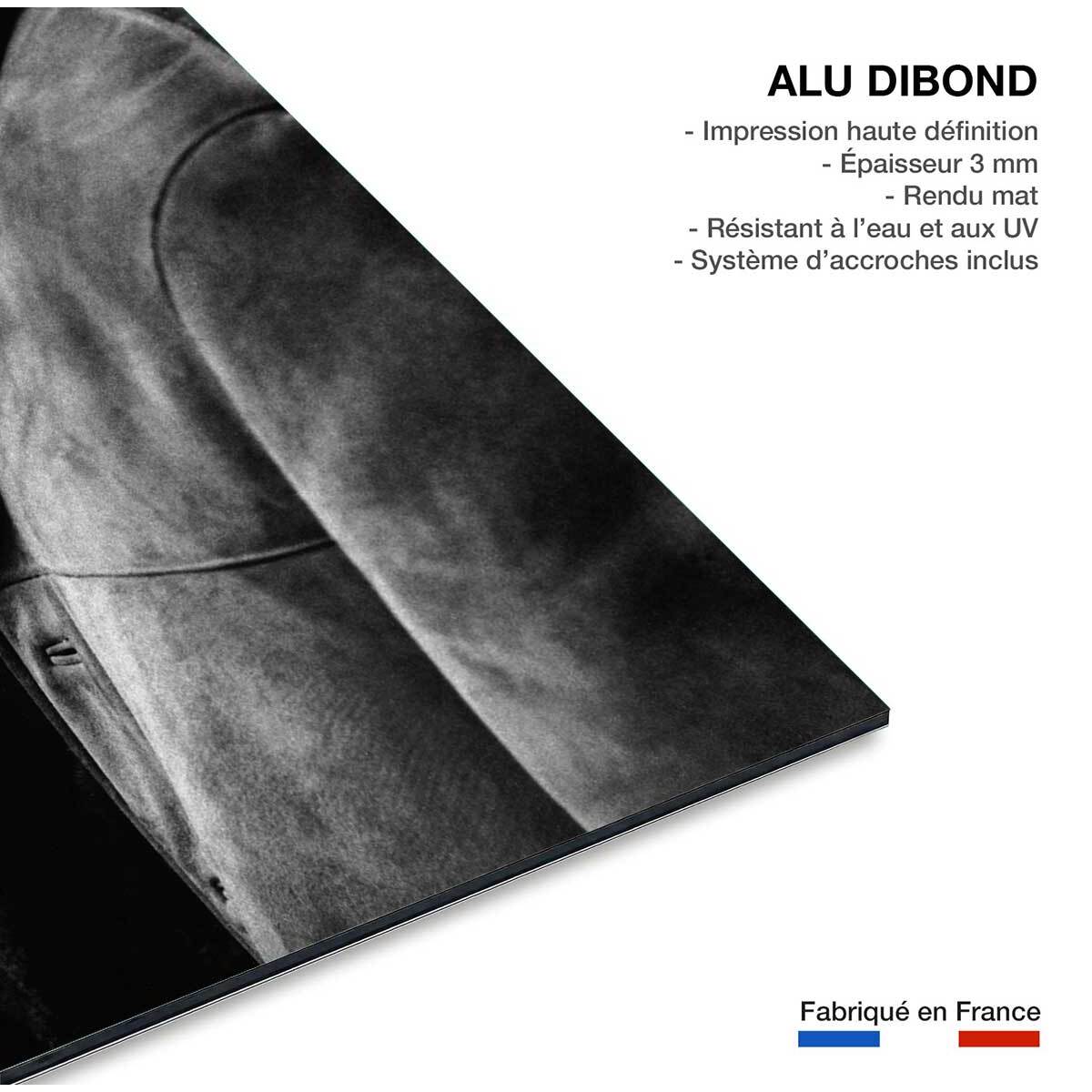 Tableau noir et blanc Photo Romy Schneider et Alain Delon Tableau alu Dibond