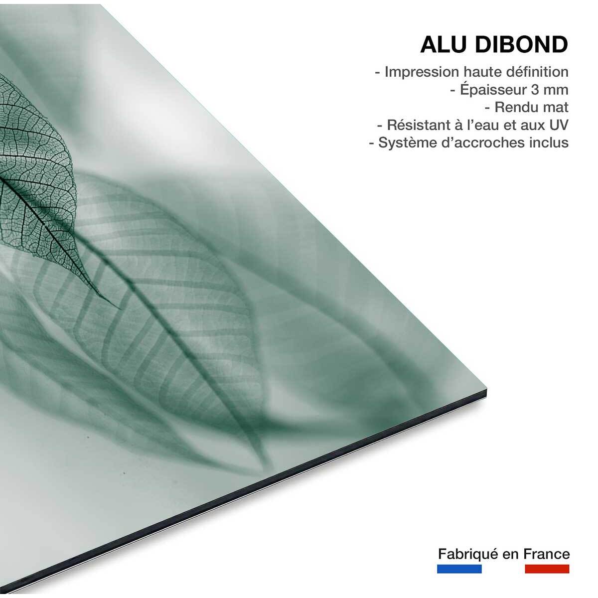 Tableau feuille leaf  Tableau alu Dibond