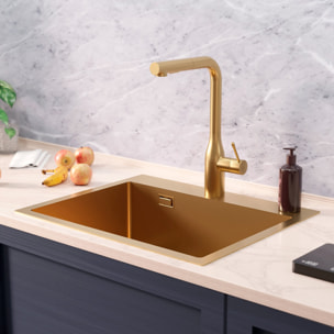 Timeless Évier de cuisine encastrable inox 304, 1 bac , 55x45x21 cm, Or brossé PVD
