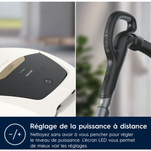 Aspirateur avec sac ELECTROLUX Pure D8 Allergy PD82-ALRG