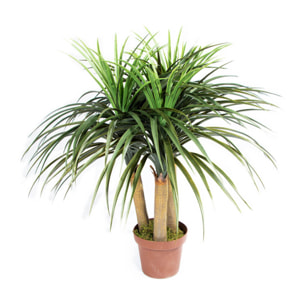 Planta Artificial Nolina Mini 75 Cm