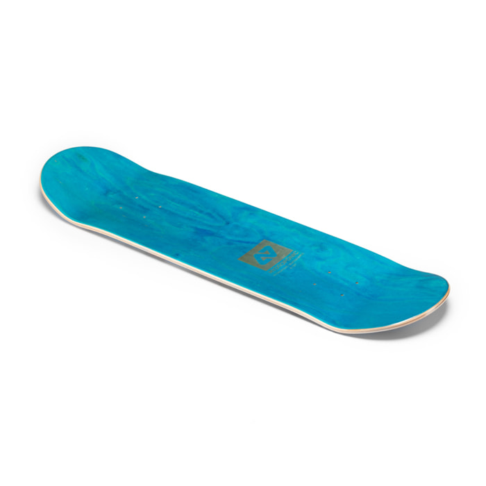 Tabla de skate Hydroponic DRAGON BALL KAME SENNIN