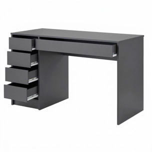 Scrivania moderna con 4 cassetti 1 cassettone centrale Scrittoio da Studio o Ufficio Mobile Desk 120 x 75 x 55 cm antracite