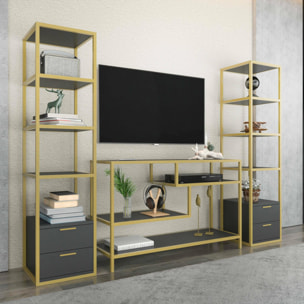 Parete attrezzata Dpisan, Composizione soggiorno, Mobile salotto multiuso, Armadio porta TV, 198x39h160 cm, Oro e Antracite