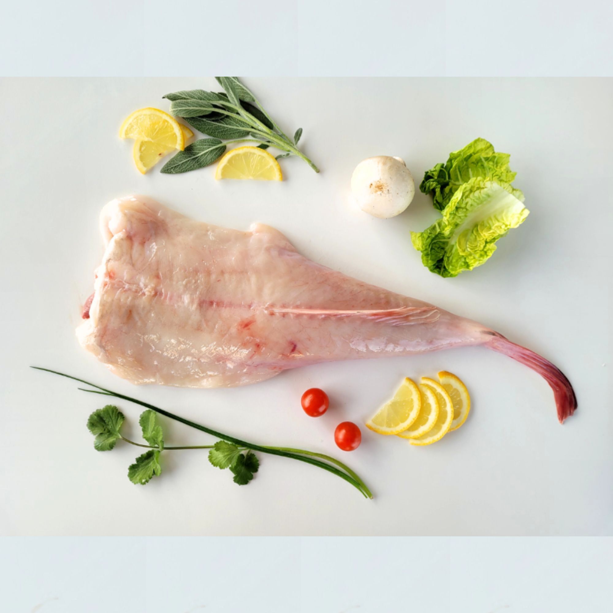 Queue de Lotte - 1,2kg - France - Vives Eaux